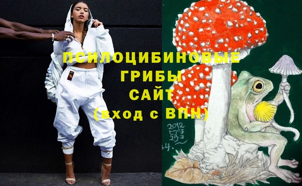 прущие крисы Магадан