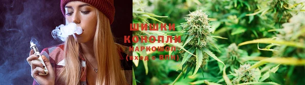 ALPHA PVP Магас