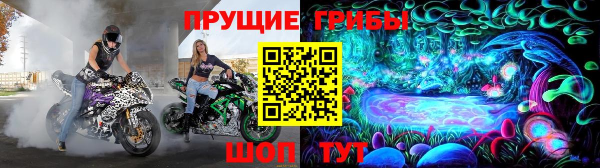 Галлюциногенные грибы прущие грибы  Галлюциногенные грибы мицелий  Донской  Вход с VPN 